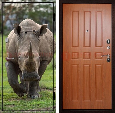 Металлическая дверь с фотопечатью носорога ДФ-31 в Ступино