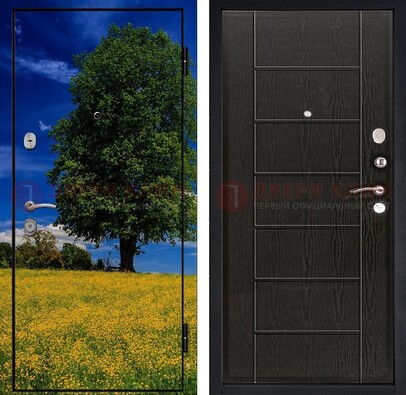 Железная дверь с фотопечатью дерева в поле ДФ-36 в Ступино