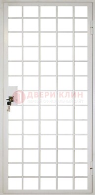 Белая металлическая решетчатая дверь ДР-2 в Ступино